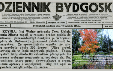 Towarzystwo Upiększania Miasta w Kcyni. Nadesłał Roman Tadych 