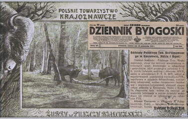 Polskie Towarzystwo Krajoznawcze. Nadesłał Roman Tadych 