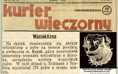 Wścieklizna. Nadesłał Roman Tadych