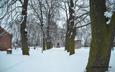 Stary cmentarz w zimowej szacie. Fot. Anna Duda-Nowicka