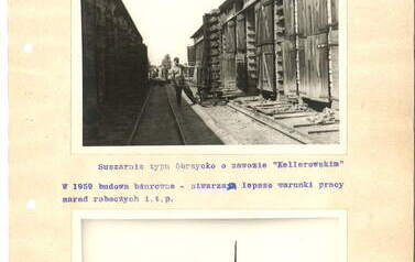 str. 11