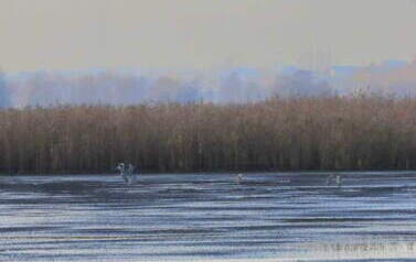 fot. Joanna Zaworska