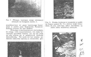 Rzekome występywanie ropy na Pałukach - str. 3. Z archiwum Zofii Czochralskiej
