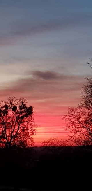Fot. D. Śwital-Grzeszczyk 
