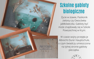 Szkolne gabloty biologiczne. Z archiwum ZST w Kcyni 