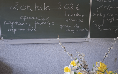 Żonkile 2026