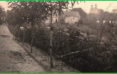 ul. Parkowa w Kcyni