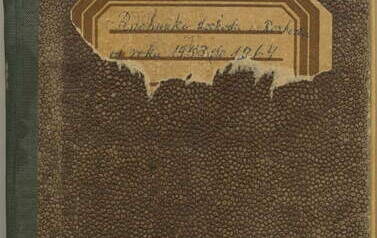 Pamiętnik Władysława Wes&oacute;ł - okładka 