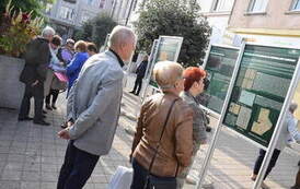 Fot. B. Szymczak 