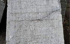 Doris Landecker 