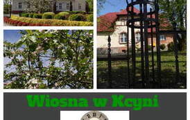 Wiosna w Kcyni 