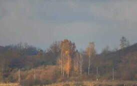 fot. Joanna Zaworska
