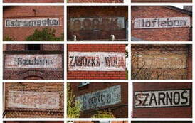 fot. Tomasz Stochmal 