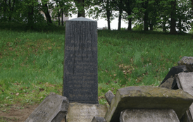 Obelisk Caspera Aronsfelda (widok og&oacute;lny). Fot. J. Makarewicz