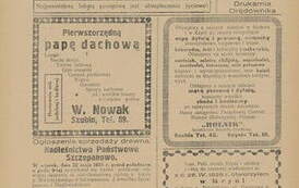 Orędownik Urzędowy Powiatu Szubińskiego  R. 9, nr 38 (12 maja 1928) - www.kpbc.umk.pl