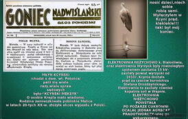 Przez boćka kłopot. Nadesłał Roman Tadych