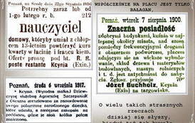 KCYNIA W GOŃCU3 (Copy). Nadesłał Roman Tadych