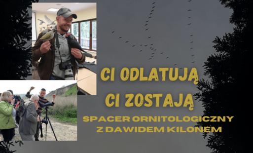 Zdjęcie do 