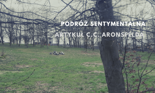 Zdjęcie do Sentymentalna podr&oacute;ż - artykuł C. C. Aronsfelda