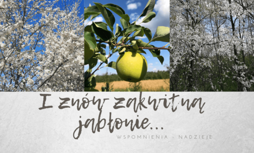Zdjęcie do 