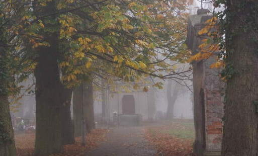 Zdjęcie do Listopad - miesiąc mgieł - co nas czeka? 